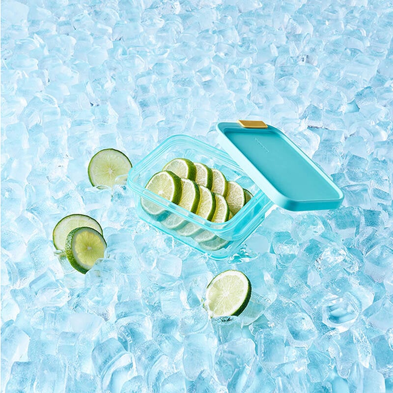 Hộp Trữ Đông Thực Phẩm Freezer Fit Locknlock Màu Tự Nhiên nhiều dung tích- HFL10 image number null